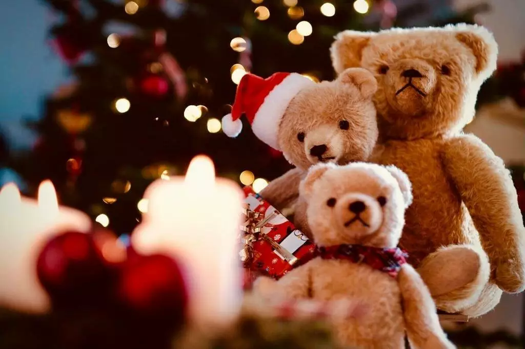 Die Teddys und das Team wünschen euch und euren Lieben schöne Weihnachten und ruhige und besinnliche Festtage.